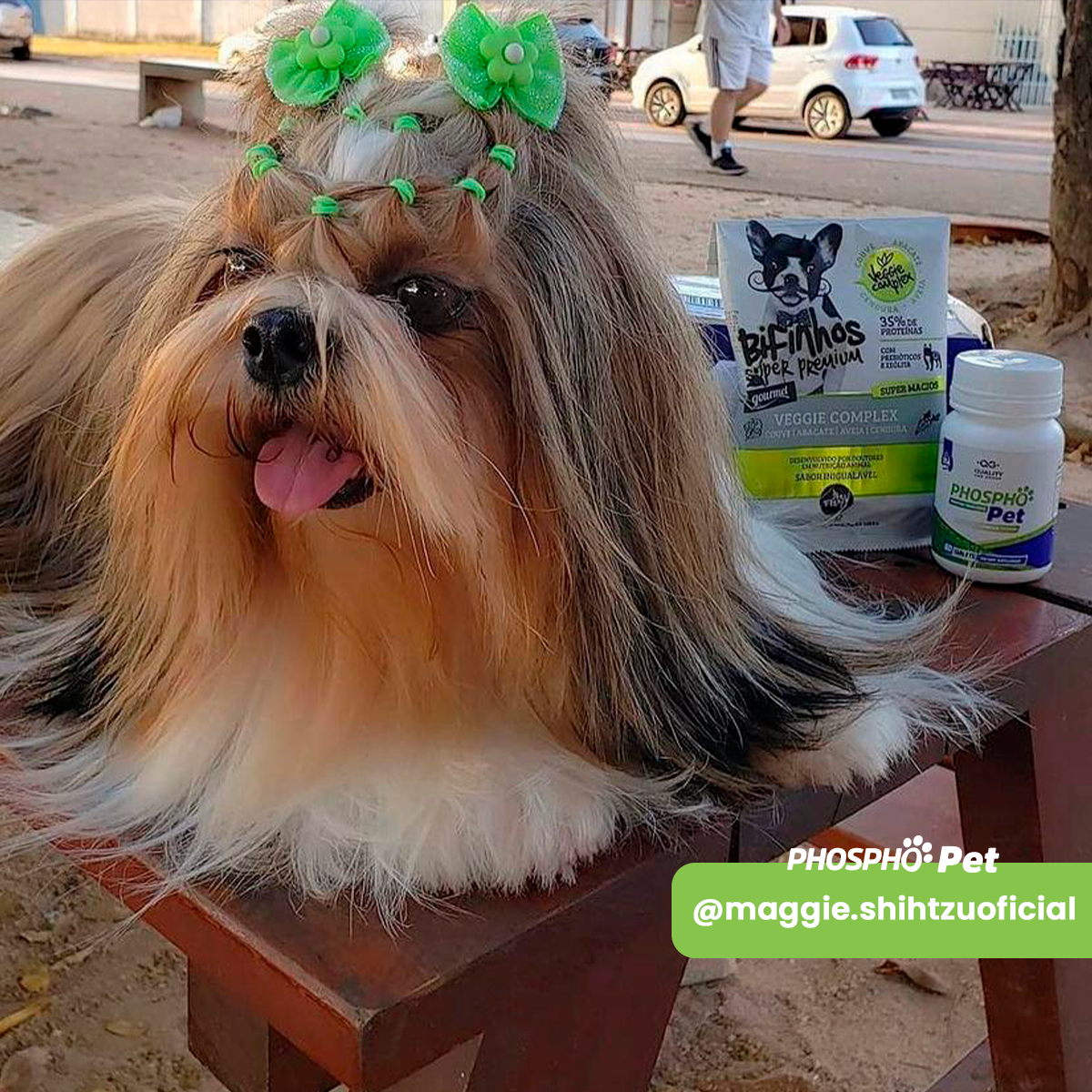 PHOSOHO PET - 120 tablets