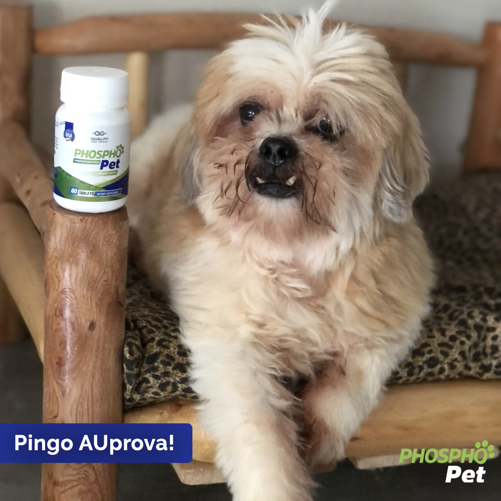 PHOSPHO PET  - 60 tablets