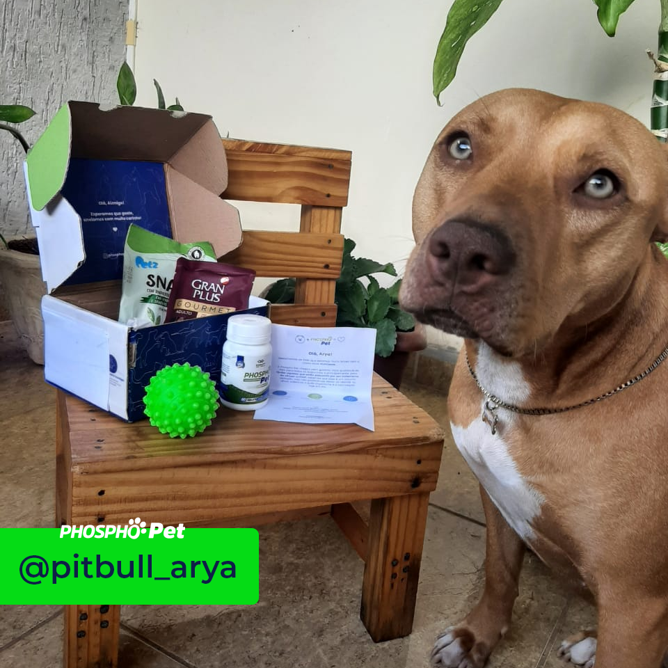 PHOSPHO PET - 180 tablets